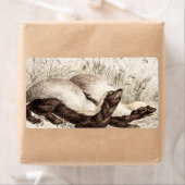 Retro der Vintagen Honig-Badger-Bienenstock-Vorlag (Insitu)