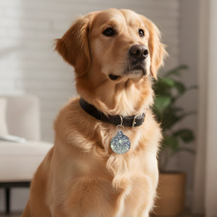 Retro Disco Ball ID Tag - Groovy & Safe! Haustiermarke