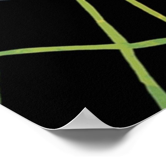 Retro Dracula Poster (Ecke)