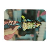 Retro-Eis-Popsiv Magnet (Horizontal)