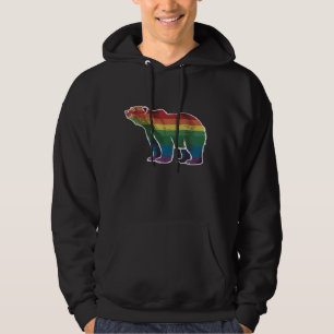 Retro Eisbär Regenbogen Lesbisch LGBT Schwule Prid Hoodie
