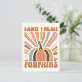 Retro Farm Fresh Pumpkins Postkarte (Stehend Vorderseite)
