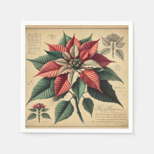 Retro Festive Poinsettia Botanische Dekoupage Serviette (Vorderseite)
