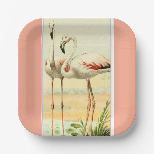Retro Flamingo Pappteller (Vorderseite)