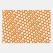 Retro Floral Niedlich Cartoon Daisy Muster Geschenkpapier Set (Vorderseite 2)