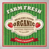 Retro Fresh Poster Design (Vorne)