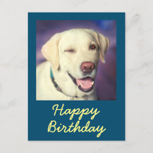 Retro Funny Dog und Happy Birthday Postcard Postkarte