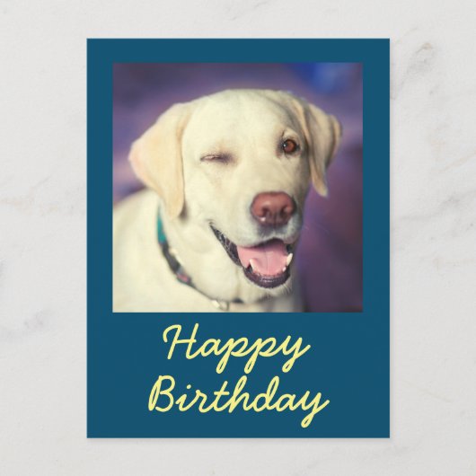 Retro Funny Dog und Happy Birthday Postcard Postkarte (Vorderseite)