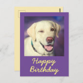 Retro Funny Dog und Happy Birthday Postcard Postkarte (Vorne/Hinten)