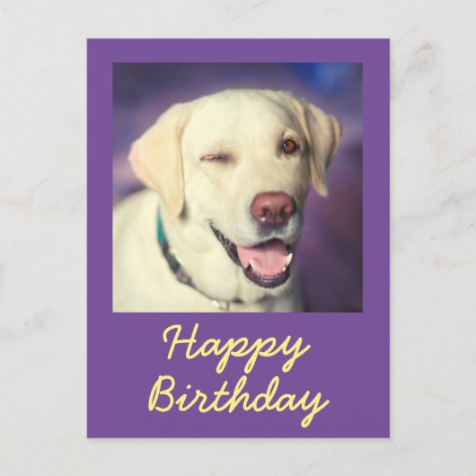 Retro Funny Dog und Happy Birthday Postcard Postkarte (Vorderseite)