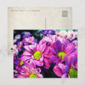 Retro Gänseblümchen I Postkarte (Vorne/Hinten)