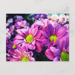Retro Gänseblümchen I Postkarte