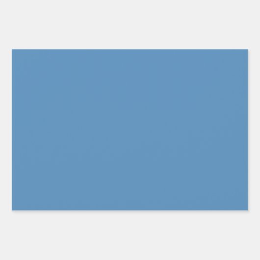 Retro Garden Floral 60er 70er Pattern Geschenkpapier Set (Vorderseite 2)