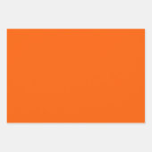 Retro Garden Groovy Floral 60er 70er Pattern Geschenkpapier Set (Vorderseite 2)