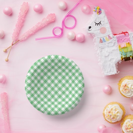 Retro Gingham Summer Green Pappteller (Party)