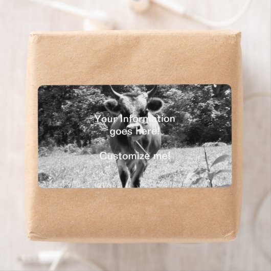 Retro Gray Bull Foto (Insitu)