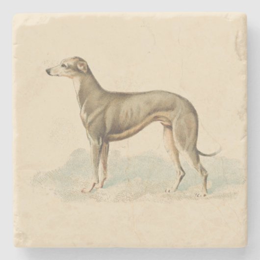 Retro Greyhound Whippet Print Steinuntersetzer (Vorderseite)