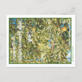 Retro “Grüße vom Silverwood Lake” Postkarte
