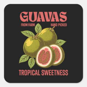Retro Guavas Fruit Kommerzielle Grafik Art Stil Quadratischer Aufkleber