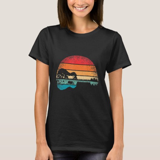 Retro Guitar Lake Sunset Gitarrist Music T-Shirt (Vorderseite)