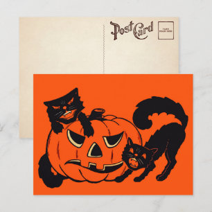 Retro-Halloween-Katzen-Postkarte Postkarte