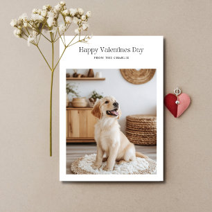 Retro Happy Valentines Day Hund Pet Funny Cards Feiertagskarte