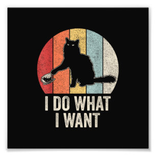 Retro I Do I What I Woll Cat Shirt Cat Lover Eigen Fotodruck