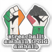 Retro Ireland Palestina Solidarity Fist Revolution Aufkleber (Vorderseite)