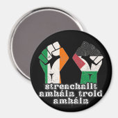 Retro Ireland Palestina Solidarity Fist Revolution Magnet (Vorderseite/Rückseite)