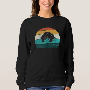 Retro Komodo Dragon Cool Lizard Reptile Vintag Su Sweatshirt