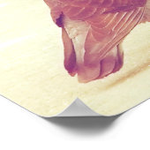 Retro Love Birds Kissing Pigeon Poster (Ecke)