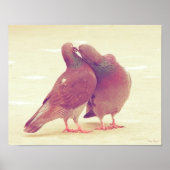 Retro Love Birds Kissing Pigeon Poster (Vorne)