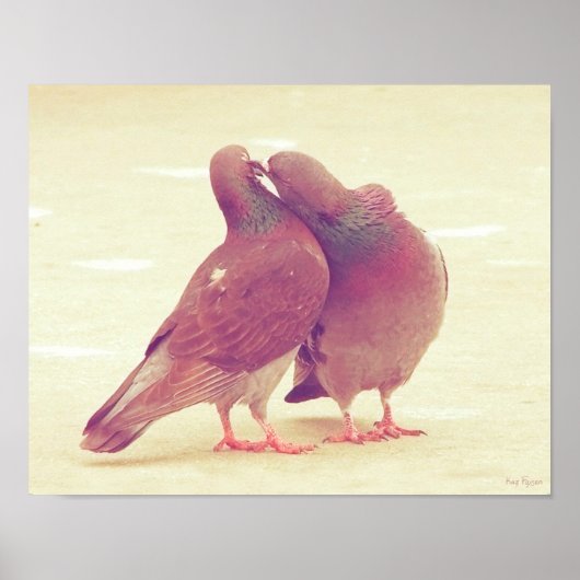 Retro Love Birds Kissing Pigeon Poster (Vorne)