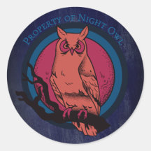 Retro-Nacht-Eule und Mond-Spektrum-Kreis-Aufkleber