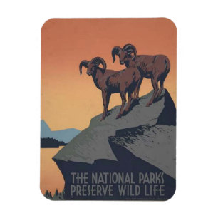 Retro Nationalpark-Reise-Plakat-Magnet Magnet