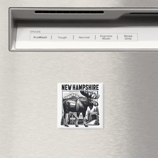 Retro New Hampshire Magnet (In Situ (Geschirrspüler))