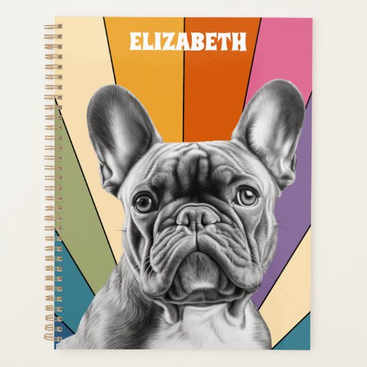 Retro Niedlich Personalisiert Rainbow French Bulld Planer (Vorderseite)