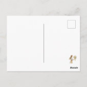 Retro Oaster Postkarte (Rückseite)