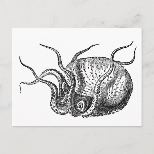 Retro Octopus Postkarte (Vorderseite)