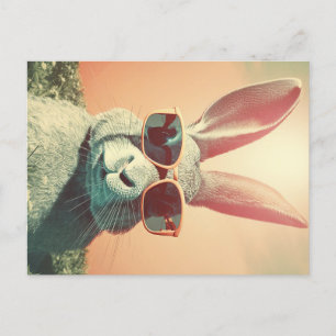 Retro-Osterhase chillt im Gras Postkarte