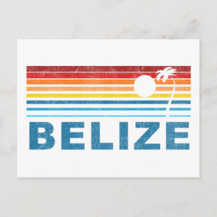 Retro Palm Tree Belize Postkarte