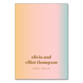 Retro Pastel Gradient Wedding Custom Platzkarte Tischnummer
