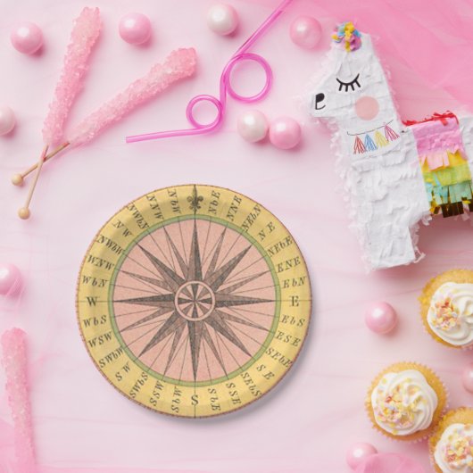 Retro Pastel Nautical Compass Pappteller (Party)