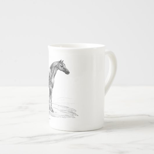 Retro Pferdemuskel-Anatomiebild Porzellantasse (Vorderseite Rechts)