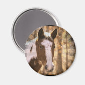 Retro Pinto Magnet (Vorderseite/Rückseite)