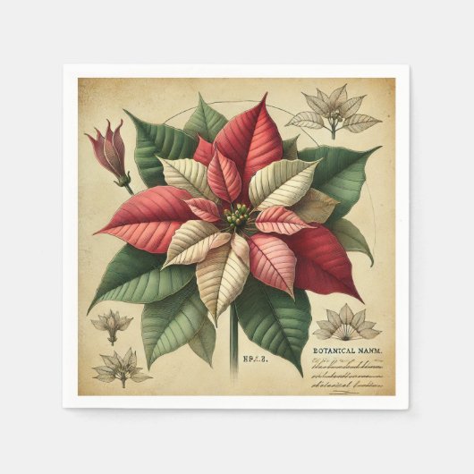 Retro Poinsettia Festivals Botanische Dekoupage Serviette (Vorderseite)