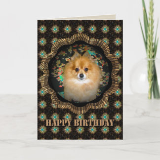 Retro-Pomeranian-Geburtstagskarte Karte