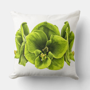 Retro-Pop-Art-Grüne-Amaryllis-Wurfkissen Kissen