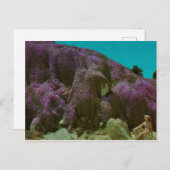 Retro Postkarte (Vorne/Hinten)