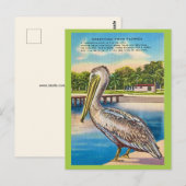 Retro-Postkarte von Florida  Postkarte (Vorne/Hinten)